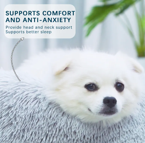 PawHaven Calming Donut Bed — Anti-Anxiety Cuddle Bed for Dogs & Cats